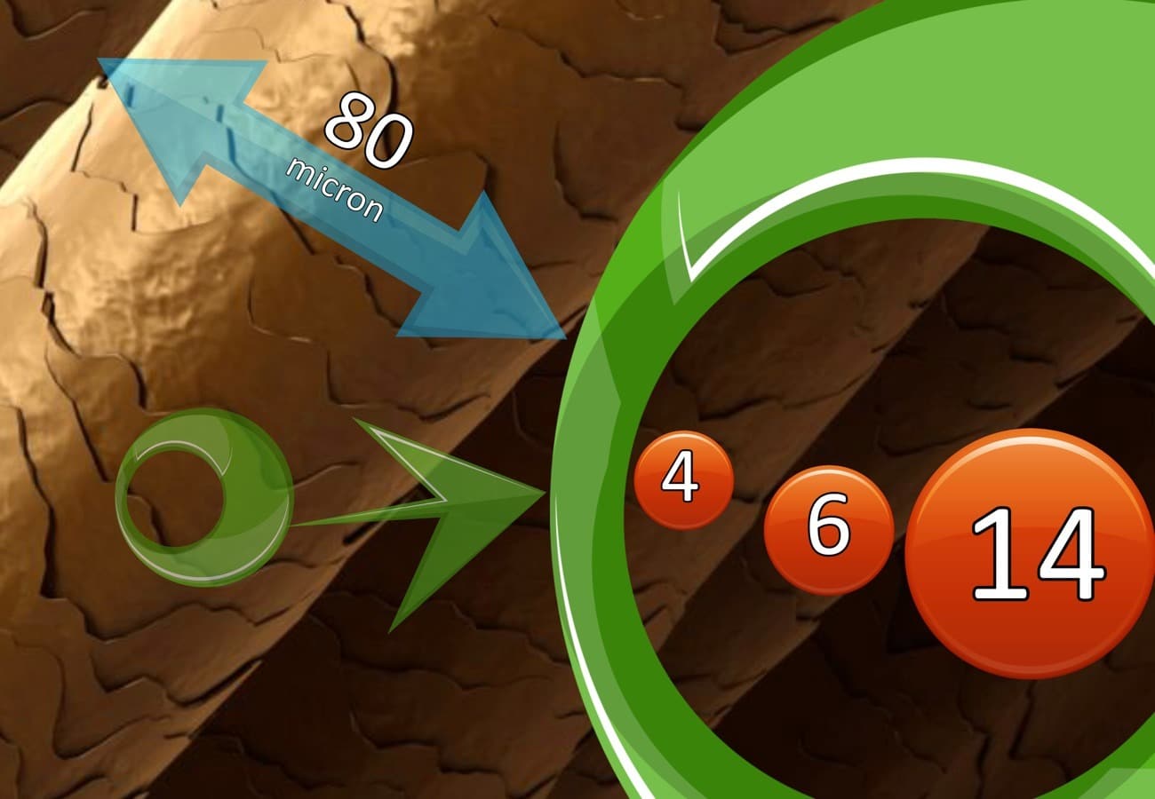 LubeWear True Wear Metal Analysis from Oil Analysis Laboratories Oil